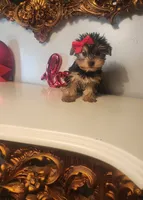 processed/d191e4a0-5627-4c66-816d-2a201d313c05/listing/fe128987-8414-4d56-8684-1c5a2a556cd1/189d069c-73a3-4898-a0e1-6aa02f922e4a