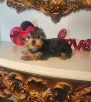 processed/d191e4a0-5627-4c66-816d-2a201d313c05/listing/fe128987-8414-4d56-8684-1c5a2a556cd1/2d95f219-61c3-401f-b109-9c09a0b99fe0