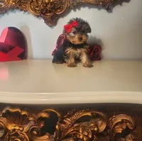 processed/d191e4a0-5627-4c66-816d-2a201d313c05/listing/fe128987-8414-4d56-8684-1c5a2a556cd1/6df3204e-a0bd-4bf6-adc6-3c9024b83bc2