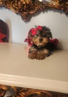 processed/d191e4a0-5627-4c66-816d-2a201d313c05/listing/fe128987-8414-4d56-8684-1c5a2a556cd1/b439d7e8-1803-4690-aa5b-22cad9119fde