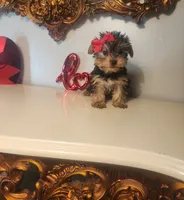 processed/d191e4a0-5627-4c66-816d-2a201d313c05/listing/fe128987-8414-4d56-8684-1c5a2a556cd1/d48e4eed-7c7f-4d7f-82e7-70b1b6e15913