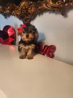 processed/d191e4a0-5627-4c66-816d-2a201d313c05/listing/fe128987-8414-4d56-8684-1c5a2a556cd1/f84d3275-8517-4809-9de3-a50fbac0191c