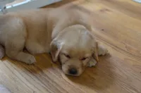 processed/d196b536-ee9b-4ec0-b0ed-8e5a6cf92b25/facility/30d861e8-d7f9-4514-b497-7d7dcbe99a36