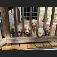 processed/d196b536-ee9b-4ec0-b0ed-8e5a6cf92b25/facility/49e41e92-dde3-42a6-9d24-3e73199363a2