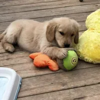 processed/d196b536-ee9b-4ec0-b0ed-8e5a6cf92b25/facility/5325d870-25a5-40e1-8835-714c881ef4de