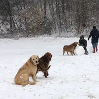 processed/d196b536-ee9b-4ec0-b0ed-8e5a6cf92b25/facility/70e61cb3-c17e-4dac-b7f0-6af120fd0605