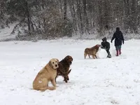 processed/d196b536-ee9b-4ec0-b0ed-8e5a6cf92b25/facility/70e61cb3-c17e-4dac-b7f0-6af120fd0605