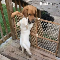 processed/d196b536-ee9b-4ec0-b0ed-8e5a6cf92b25/facility/74110390-a6cb-4e93-a999-19d913b1a2df