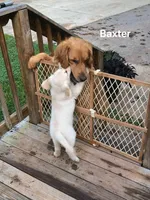 processed/d196b536-ee9b-4ec0-b0ed-8e5a6cf92b25/facility/74110390-a6cb-4e93-a999-19d913b1a2df