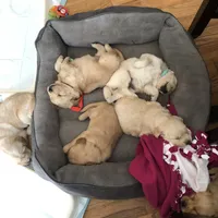 processed/d196b536-ee9b-4ec0-b0ed-8e5a6cf92b25/facility/85882ef1-fe48-401e-9411-8f6e637a89d2