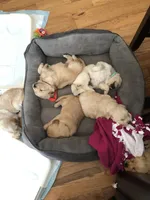 processed/d196b536-ee9b-4ec0-b0ed-8e5a6cf92b25/facility/85882ef1-fe48-401e-9411-8f6e637a89d2