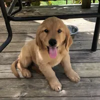 processed/d196b536-ee9b-4ec0-b0ed-8e5a6cf92b25/facility/8974d8f9-0ea7-4d77-af21-24a3fd8cdbb0