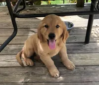 processed/d196b536-ee9b-4ec0-b0ed-8e5a6cf92b25/facility/8974d8f9-0ea7-4d77-af21-24a3fd8cdbb0