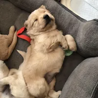 processed/d196b536-ee9b-4ec0-b0ed-8e5a6cf92b25/facility/b81fba31-ff7a-4194-a203-78e594223316