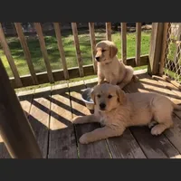 processed/d196b536-ee9b-4ec0-b0ed-8e5a6cf92b25/facility/f3b864a1-b498-4722-b6d0-57a1af4e9d2d