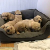 processed/d196b536-ee9b-4ec0-b0ed-8e5a6cf92b25/facility/fe2c16ab-37e1-47fd-a3c1-cd711a8b54e3