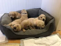 processed/d196b536-ee9b-4ec0-b0ed-8e5a6cf92b25/facility/fe2c16ab-37e1-47fd-a3c1-cd711a8b54e3