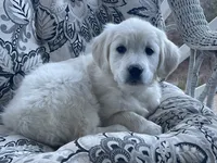 processed/d196b536-ee9b-4ec0-b0ed-8e5a6cf92b25/listing/5868ae0c-5254-43d1-aa1e-0e564cf17057/564cb0b1-611f-40ac-a023-f696ddd50dd8