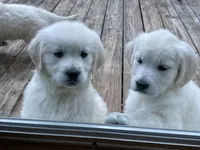 processed/d196b536-ee9b-4ec0-b0ed-8e5a6cf92b25/listing/5868ae0c-5254-43d1-aa1e-0e564cf17057/7de4cb23-d51e-4605-81de-885319f13a07