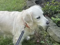 processed/d196b536-ee9b-4ec0-b0ed-8e5a6cf92b25/listing/5868ae0c-5254-43d1-aa1e-0e564cf17057/a8150961-867d-4b92-9711-5f81c447815c