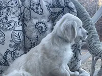 processed/d196b536-ee9b-4ec0-b0ed-8e5a6cf92b25/listing/5868ae0c-5254-43d1-aa1e-0e564cf17057/e89521c0-ac34-4468-ba44-0534cbbc3c9e