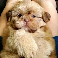 processed/d1989e2c-29fd-41d7-ba85-7d260729b048/facility/10219b2d-5c84-4e9c-99e1-e4d23dfa2444