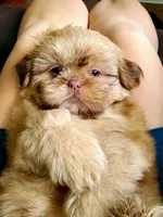 processed/d1989e2c-29fd-41d7-ba85-7d260729b048/facility/10219b2d-5c84-4e9c-99e1-e4d23dfa2444