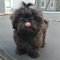 processed/d1989e2c-29fd-41d7-ba85-7d260729b048/facility/232e42f5-4443-4c4e-b5dd-0b05e419b62c