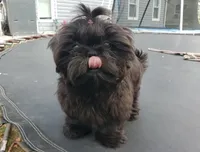 processed/d1989e2c-29fd-41d7-ba85-7d260729b048/facility/232e42f5-4443-4c4e-b5dd-0b05e419b62c