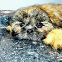 processed/d1989e2c-29fd-41d7-ba85-7d260729b048/facility/470e97da-e897-4f0e-a8ee-adba9590c8f4