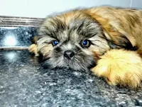 processed/d1989e2c-29fd-41d7-ba85-7d260729b048/facility/470e97da-e897-4f0e-a8ee-adba9590c8f4