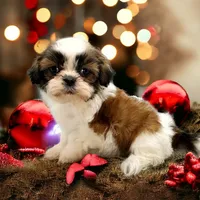 processed/d1989e2c-29fd-41d7-ba85-7d260729b048/facility/805d397d-aa32-47d2-b2aa-ef71f40fd609