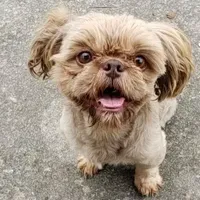 processed/d1989e2c-29fd-41d7-ba85-7d260729b048/facility/9831093c-4653-4947-acb2-0b7173e81bf3