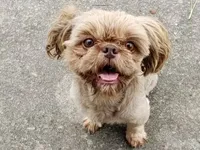 processed/d1989e2c-29fd-41d7-ba85-7d260729b048/facility/9831093c-4653-4947-acb2-0b7173e81bf3