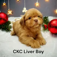 processed/d1989e2c-29fd-41d7-ba85-7d260729b048/facility/aa290b09-2fd0-43b0-99c2-187b8ccbc43c