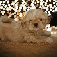 processed/d1989e2c-29fd-41d7-ba85-7d260729b048/facility/e0e66596-1886-4828-9dd1-c5d5fcf1dfe3