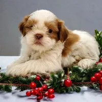 processed/d1989e2c-29fd-41d7-ba85-7d260729b048/facility/e948e896-6648-418b-9804-c6118be82e2e