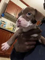 processed/d19a8020-9aa6-4cbc-ab6a-e38cdc4399bc/listing/e9ef1d9b-20b5-40f5-9742-6d7e41f13062/2195e707-4143-4321-b035-74b9e40f756f