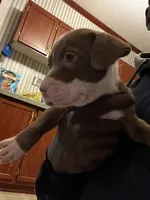 processed/d19a8020-9aa6-4cbc-ab6a-e38cdc4399bc/listing/e9ef1d9b-20b5-40f5-9742-6d7e41f13062/9fbf5d5d-5777-4929-8d07-4f5170fe5e30