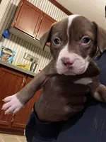 processed/d19a8020-9aa6-4cbc-ab6a-e38cdc4399bc/listing/e9ef1d9b-20b5-40f5-9742-6d7e41f13062/a7bbb3d3-41ac-4cdc-b2a1-c731cdbdd1f4