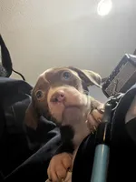 processed/d19a8020-9aa6-4cbc-ab6a-e38cdc4399bc/listing/e9ef1d9b-20b5-40f5-9742-6d7e41f13062/b32eb6e5-e77c-4cce-8608-55e07275df8d