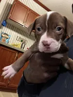 processed/d19a8020-9aa6-4cbc-ab6a-e38cdc4399bc/listing/e9ef1d9b-20b5-40f5-9742-6d7e41f13062/b546b622-0264-4a50-9de1-bb29e001468a