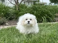 processed/d1a181ef-18c0-4932-8e08-0c0391f04f89/listing/04304912-515e-4adc-9025-a99e0101489d/5e163942-c220-4bbd-ab63-be875c7cc01c