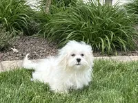 processed/d1a181ef-18c0-4932-8e08-0c0391f04f89/listing/04304912-515e-4adc-9025-a99e0101489d/68c6a480-6647-4edd-82d8-1190b2d25fc3