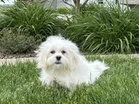 processed/d1a181ef-18c0-4932-8e08-0c0391f04f89/listing/04304912-515e-4adc-9025-a99e0101489d/6dde49e4-d6a4-417b-94de-2b578dc82503