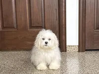 processed/d1a181ef-18c0-4932-8e08-0c0391f04f89/listing/04304912-515e-4adc-9025-a99e0101489d/a17df3bf-5bd6-414c-a804-22a3cd6b99d0