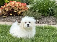 processed/d1a181ef-18c0-4932-8e08-0c0391f04f89/listing/04304912-515e-4adc-9025-a99e0101489d/c1164f37-fd63-46e7-83a0-6a34639a54f1