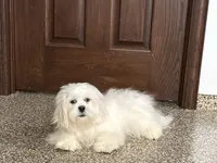 processed/d1a181ef-18c0-4932-8e08-0c0391f04f89/listing/04304912-515e-4adc-9025-a99e0101489d/c469e2ff-7797-4e9f-abc9-54484cb27679