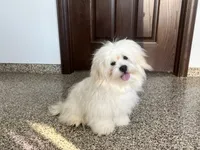 processed/d1a181ef-18c0-4932-8e08-0c0391f04f89/listing/09cc4cbd-6026-4871-ae2b-353ce687c496/0c175686-8980-48a5-b34f-33f5f4f4002e