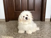 processed/d1a181ef-18c0-4932-8e08-0c0391f04f89/listing/09cc4cbd-6026-4871-ae2b-353ce687c496/0d32bce5-9668-4dae-9c2b-95294e53aaaa